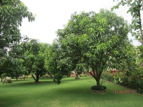 Jim Corbett Resort Рамнагар Экстерьер фото